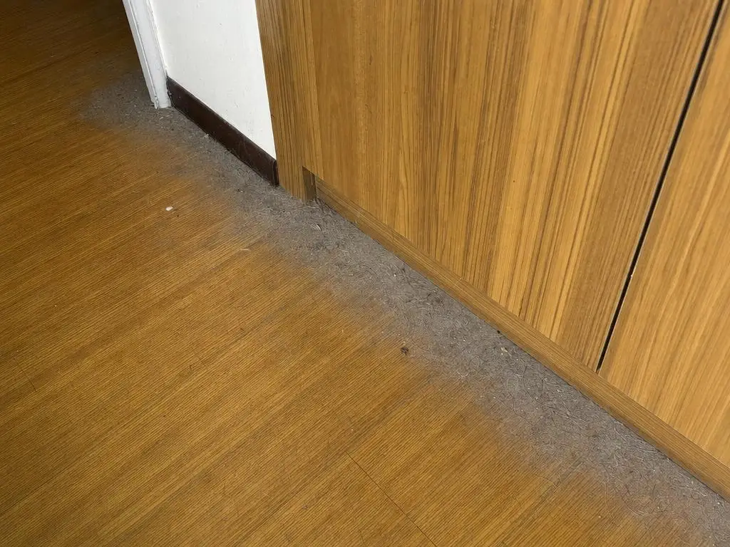 Sambungan lantai laminasi kayu dekat lemari pakaian, kotoran meresap di celahnya